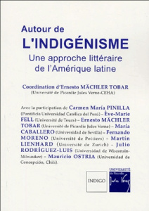 AUTOUR DE L'INDIGENISME UNE APPROCHE LITTERAIRE DE L'AMERIQUE LATINE - MACHLER TOBAR ERNEST