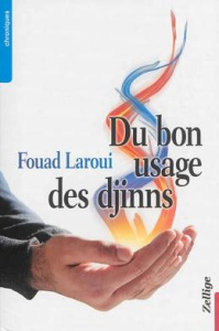 Du bon usage des djinns - Laroui Fouad