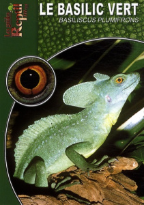 Le basilic vert. Basiliscus plumifrons - Kober Ingo ; Vedovotto Nathalie
