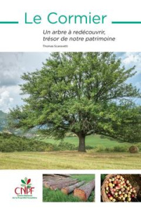 Le Cormier. Un arbre à redécouvrir, trésor de notre patrimoine - Scaravetti Thomas ; Leterme Evelyne