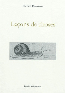 Leçons de choses - Brunaux Hervé