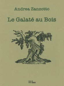 Le Galaté au Bois. Edition bilingue français-italien - Zanzotto Andrea ; Di Meo Philippe