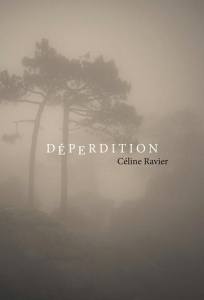 Déperdition - Ravier Céline ; Bresson Philippe