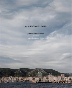 42.84 km2 sous le ciel - Salmon Jacqueline ; Bailly Jean-Christophe