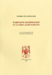 Parfaits dommages et autres achèvements - Peuchmaurd Pierre