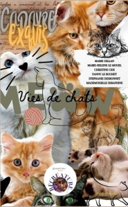 Vies de chats. Cadavre exquis - écriture collective - Le Mouel marie hélène ; Le Rouhet fanny ; Ode Chri
