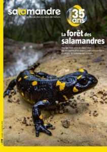 Salamandre N° 248, octobre-novembre 2018 : La forêt des salamandres - Perrot Julien