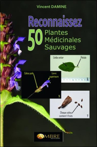 Reconnaissez 50 plantes médicinales sauvages - Damine Vincent ; Hoëdic A.