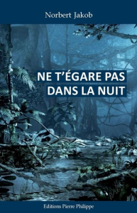 Ne t'égare pas dans la nuit - Jakob Norbert