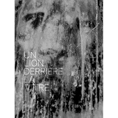 Un lion derrière la vitre. Edition bilingue français-anglais. Avec 1 CD audio - Le Brun Eric ; Bunel Emmanuelle ; Benmalek Anouar