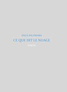 Ce que dit le nuage - Palamara Enza