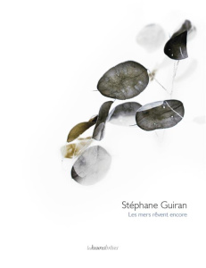 Les mers rêvent encore. Catalogue d'exposition - Guiran Stéphane ; Jaunin Françoise ; Colleu-Dumond