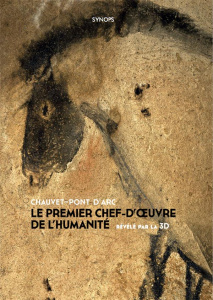 Chauvet-Pont d'Arc. Le premier chef-d'oeuvre de l'humanité révélé par la 3D - Lima Pedro ; Psaïla Philippe ; Perazio Guy