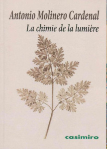 La chimie de la lumière. Ou la naissance du photogramme - Molinero Cardenal Antonio ; Ben Ayoun Jean-Luc