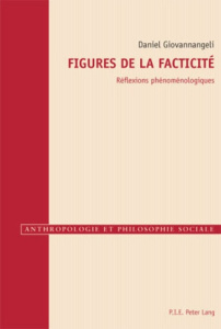 Figures de la facticité. Réflexions phénoménologiques - Giovannangeli Daniel