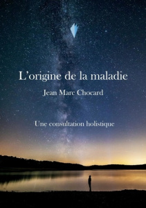 Une consultation holistique. L'origine de la maladie, Tome 3 - Chocard Jean-marc