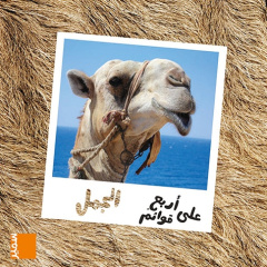 Le dromadaire (arabe) - El-Ahdab Marwan