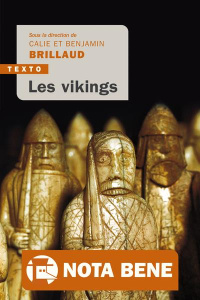 Les vikings - Brillaud Benjamin ; Brillaud Calie
