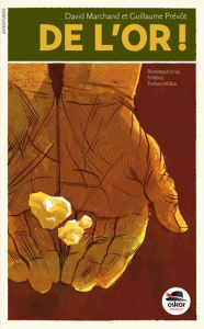 De l'or - Marchand David ; Prévôt Guillaume