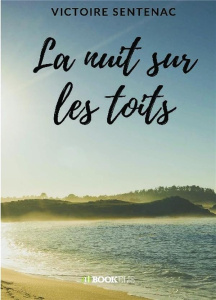 La nuit sur les toits - Sentenac Victoire
