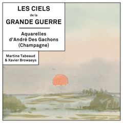Les ciels de la Grande Guerre - Tabeaud Martine ; Browaeys Xavier ; des Gachons An