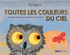 Toutes les couleurs du ciel. Une jolie histoire pour apprendre les couleurs ! - Hopgood Tim
