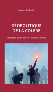 Géopolitique de la colère. De la globalisation heureuse au grand courroux, 2e édition revue et corri - Benraad Myriam