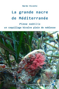 La grande nacre de Méditerranée. Pinna nobilis, un coquillage bivalve plein de noblesse - Vicente Nardo