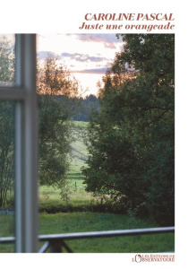 Juste une orangeade - Pascal Caroline