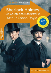 Sherlock Holmes. Le Chien des Baskerville - Doyle Arthur Conan ; Tourville Bernard ; Hannedouc
