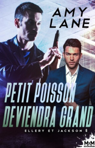 Ellery et Jackson Tome 6 : Petit poisson deviendra grand - Lane Amy