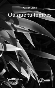 Ou que tu tombes - Laine Xavier