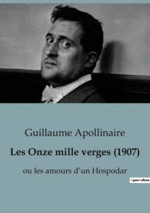 Les Onze mille verges (1907). ou les amours d'un Hospodar - Apollinaire Guillaume
