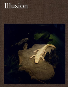 Illusion - Caupeil Edouard ; Bourcier Nicolas