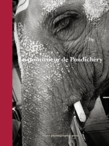 Le promeneur de Pondichéry - Fortini Marcel ; Camilly Jérôme ; Micheli Mathieu