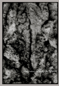 Le songe de Poliphile - Ledoux Thierry ; Drot Jean-Marie