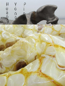 Huang Yong Ping. Edition bilingue français-anglais - Moinard David ; Martin Jean-Hubert