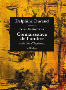 Connaissance De L'Ombre - Durand Delphine