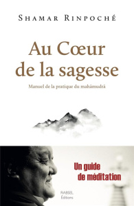 Au coeur de la sagesse. Manuel de la pratique du mahamudra - SHAMAR RINPOCHE