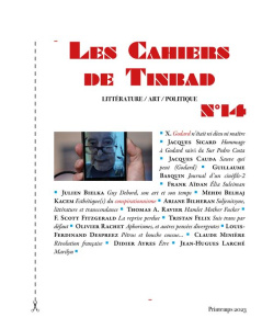 Les Cahiers de Tinbad N° 14 - Basquin Guillaume