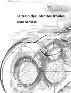 Le train des infinités froides - Geneste Bruno ; Jacob Loran