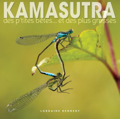 Kamasutra des p'tites bêtes... et des plus grosses - Bennery Lorraine ; Bennery Emmanuelle