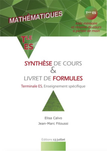 MATHEMATIQUES TER ES - SYNTHESE DE COURS ET LIVRET DE FORMULES - CALVO ELISA