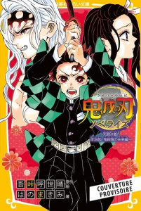 Demon Slayer Roman Tome 10 : La fin de la bataille meurtrière ! L'aventure de Tanjiro et des pourfen - Gotouge Koyoharu ; Hano Makimi ; Nabhan Fabien