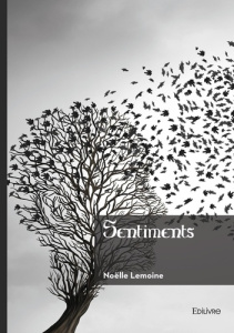 Sentiments - Lemoine Noëlle