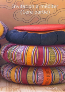 Invitation à méditer (1ere partie) - PASCALQ