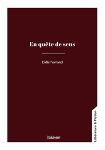 En quête de sens - Vailland Didier