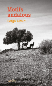 Motifs andalous. Avec six photographies - Airoldi Serge ; Deck Olivier
