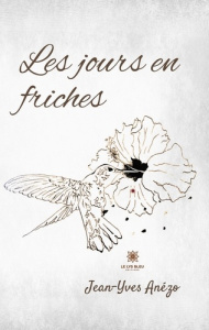 Les jours en friches - Anézo Jean-Yves
