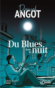 Du blues dans la nuit - Angot Daniel